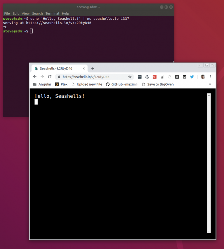 Monitor Shell Status Remotely with Seashells.io