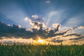 A Turn Toward Optimism