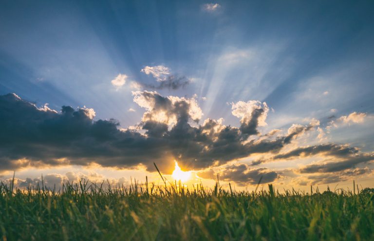 A Turn Toward Optimism