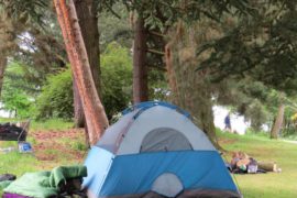 Candidate Questions for the 2021 Seattle Election: Homelessness, Compassion Seattle and Summary
