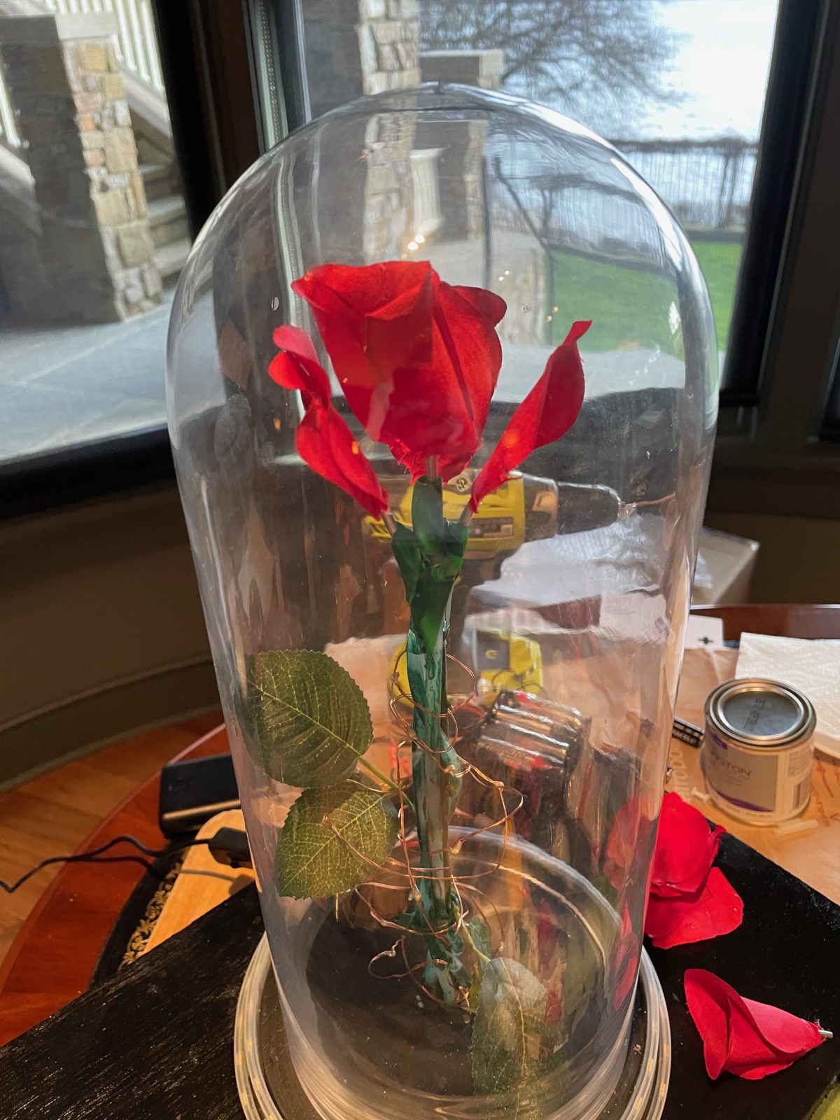 Enchanted Rose 2.0 with Falling Petals