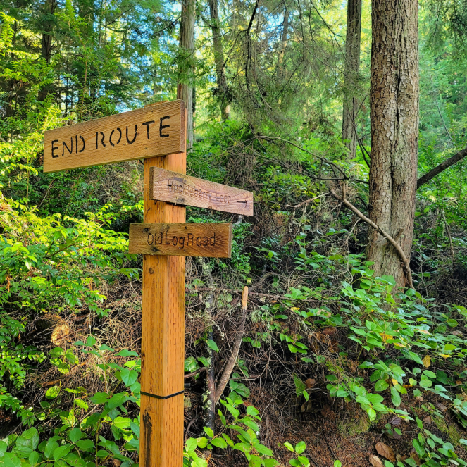 Maxwelton trails